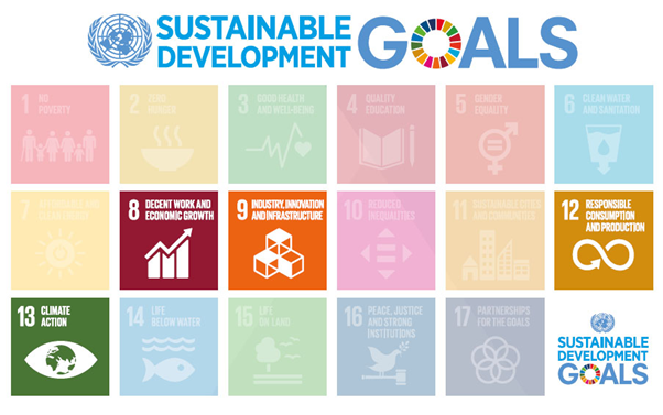 Unicef sustainable development goals van VDL Groep